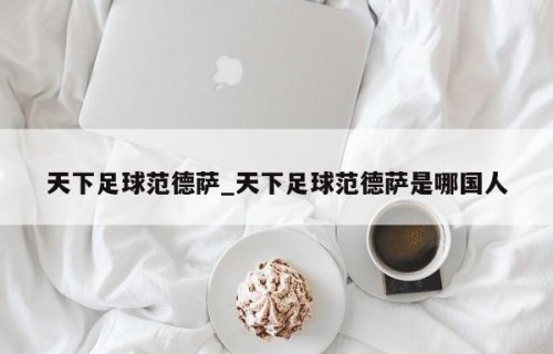 天下足球范德萨_天下足球范德萨是哪国人