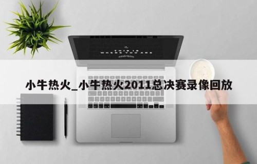 小牛热火_小牛热火2011总决赛录像回放