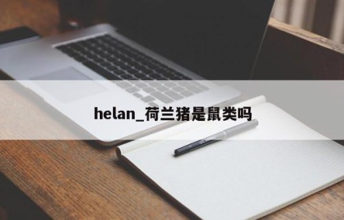 helan_荷兰猪是鼠类吗