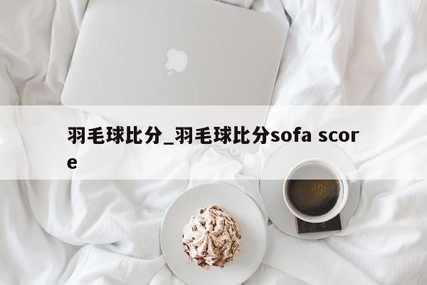 羽毛球比分_羽毛球比分sofa score