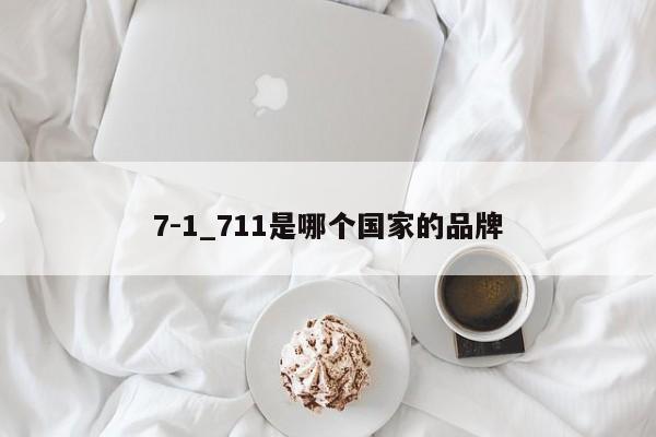 7-1_711是哪个国家的品牌