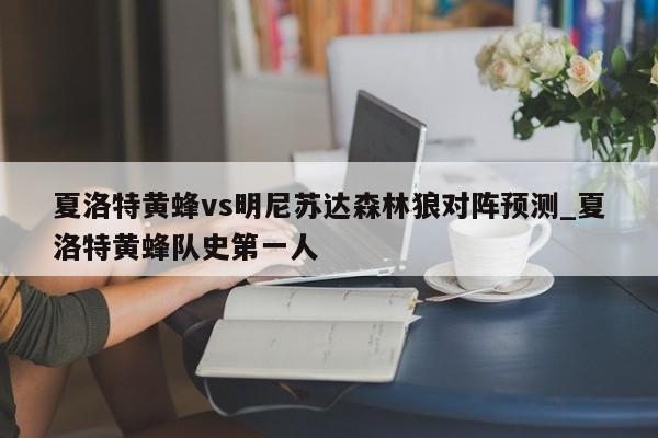 夏洛特黄蜂vs明尼苏达森林狼对阵预测_夏洛特黄蜂队史第一人