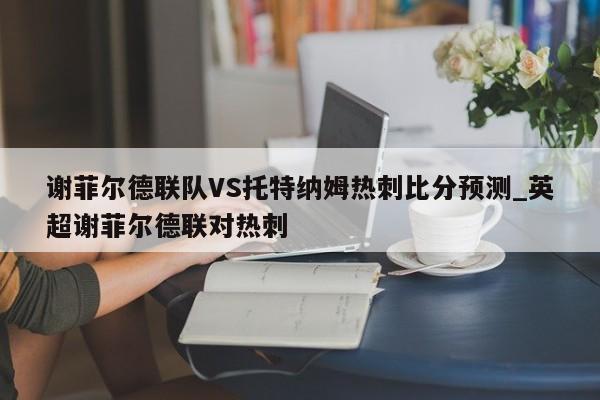谢菲尔德联队VS托特纳姆热刺比分预测_英超谢菲尔德联对热刺