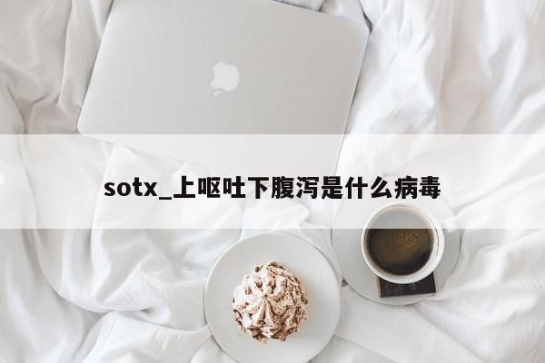 sotx_上呕吐下腹泻是什么病毒