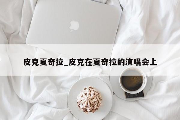 皮克夏奇拉_皮克在夏奇拉的演唱会上