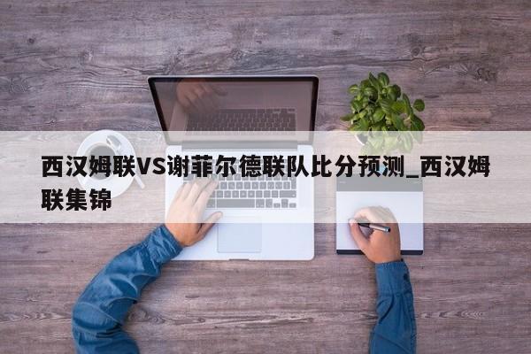 西汉姆联VS谢菲尔德联队比分预测_西汉姆联集锦