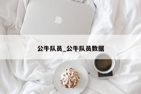 公牛队员_公牛队员数据