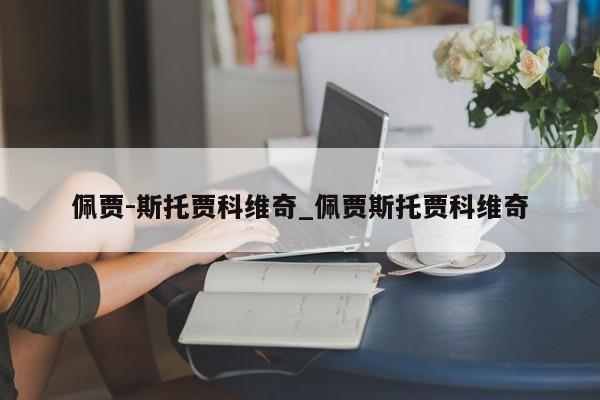 佩贾-斯托贾科维奇_佩贾斯托贾科维奇