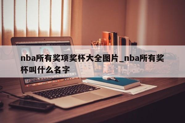 nba所有奖项奖杯大全图片_nba所有奖杯叫什么名字